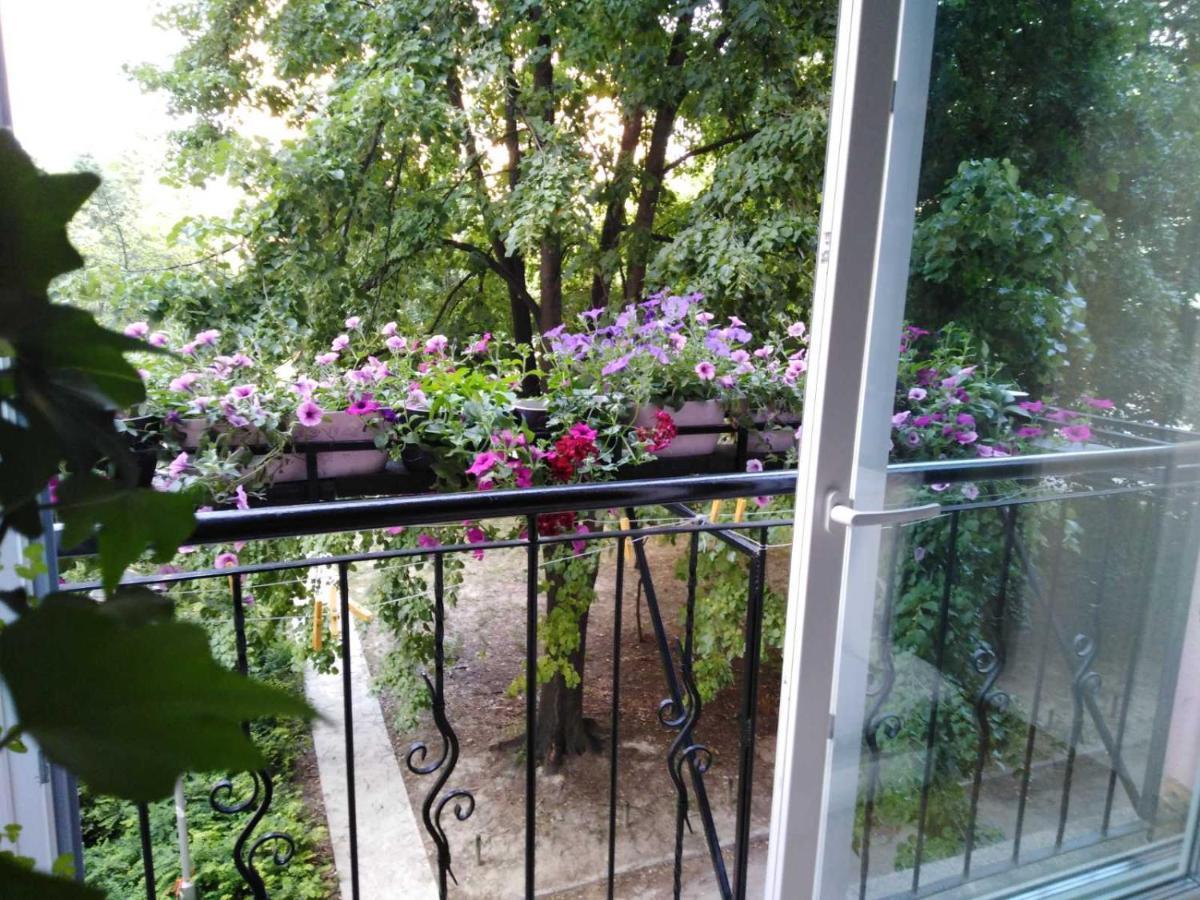 Ana Apartment Novi Sad Exterior photo
